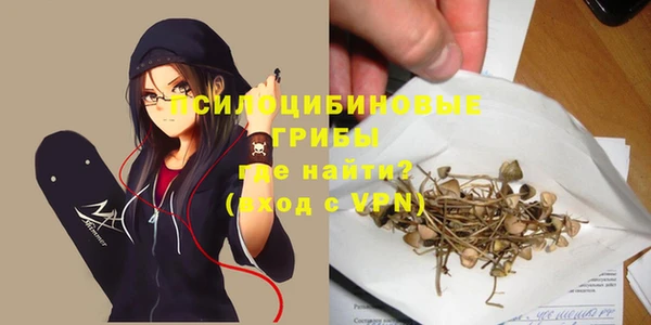 спиды Армянск