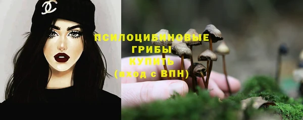МДПВ Балахна
