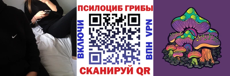 Псилоцибиновые грибы прущие грибы  Сортавала 